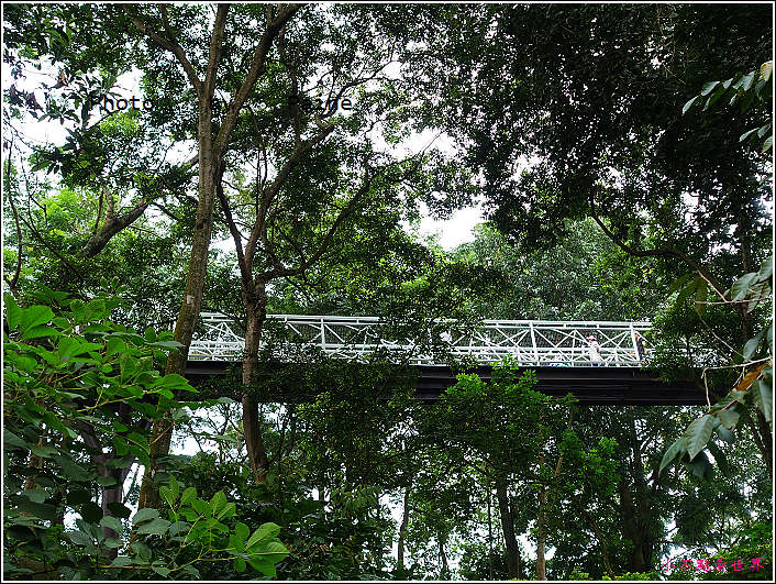 嘉義竹崎公園 (21).JPG