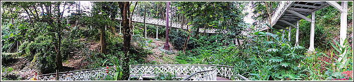 嘉義竹崎公園 (25).JPG