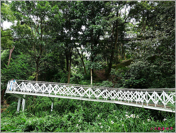 嘉義竹崎公園 (10).JPG