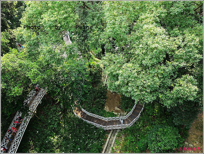 嘉義竹崎公園 (16).JPG