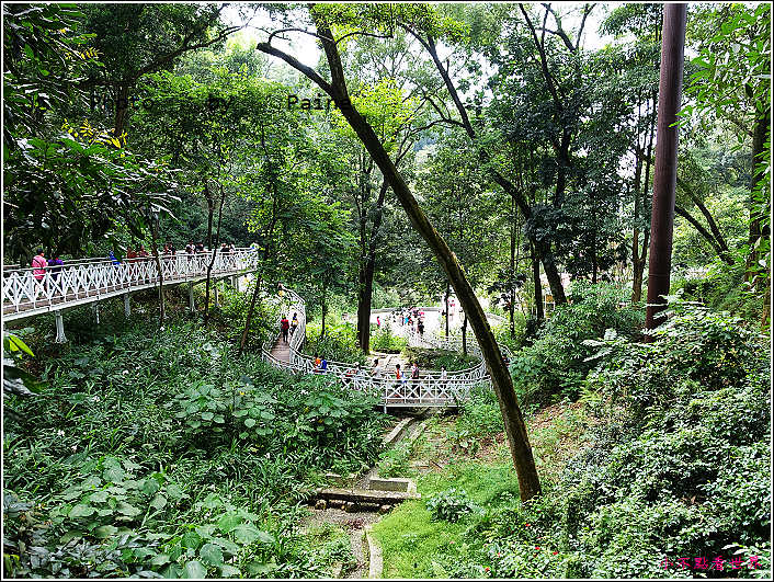 嘉義竹崎公園 (12).JPG