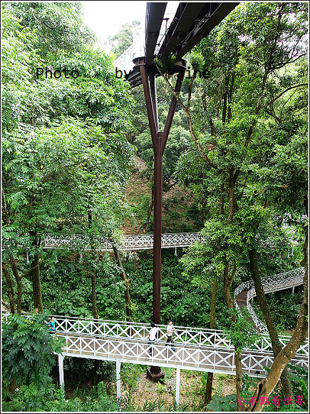 嘉義竹崎公園 (19).JPG