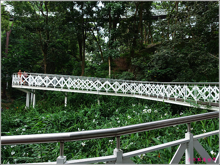 嘉義竹崎公園 (23).JPG