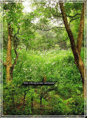 炎炎夏日孩子何處玩？推薦乾淨又寬敞的免費親水樂園
