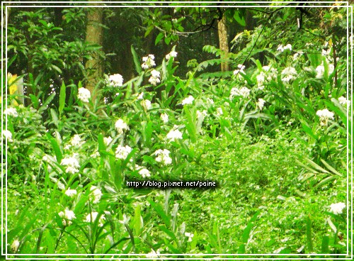 炎炎夏日孩子何處玩？推薦乾淨又寬敞的免費親水樂園