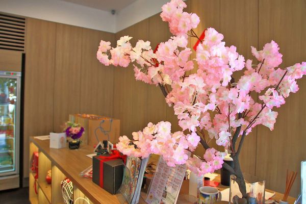 【台北景點】桂冠窩廚房-全台唯一室內賞櫻花親子旅遊景點