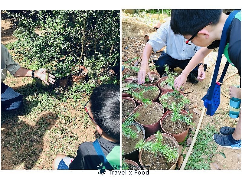 2020 桃園蓮花季,「金湖岸+康莊蓮園」之雙農場一日遊 @魚兒 x 牽手明太子的「視」界旅行