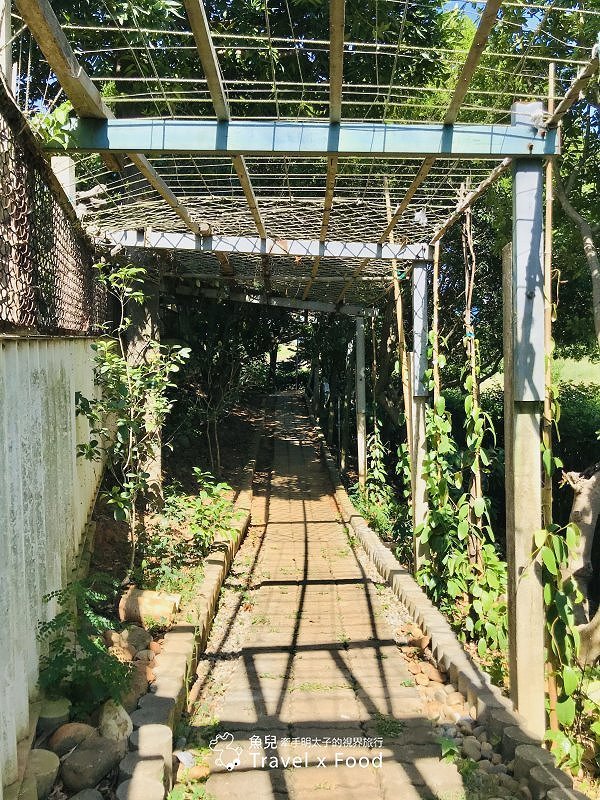 2020 桃園蓮花季,「金湖岸+康莊蓮園」之雙農場一日遊 @魚兒 x 牽手明太子的「視」界旅行