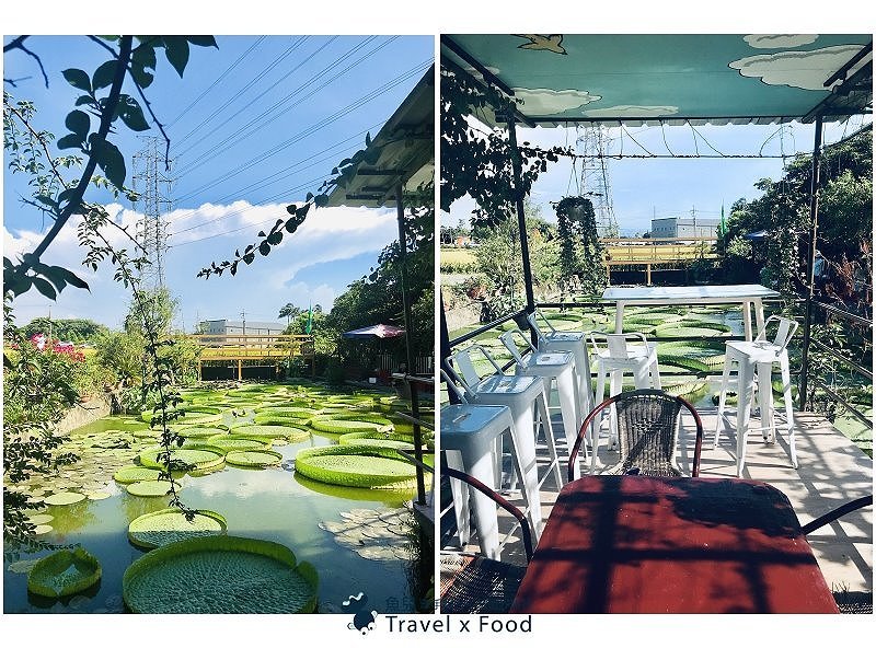 2020 桃園蓮花季,「金湖岸+康莊蓮園」之雙農場一日遊 @魚兒 x 牽手明太子的「視」界旅行