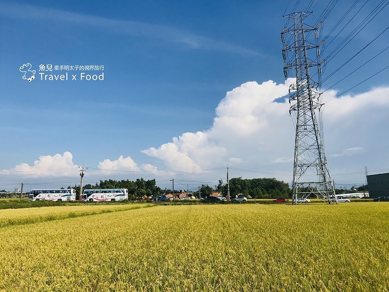 2020 桃園蓮花季,「金湖岸+康莊蓮園」之雙農場一日遊 @魚兒 x 牽手明太子的「視」界旅行