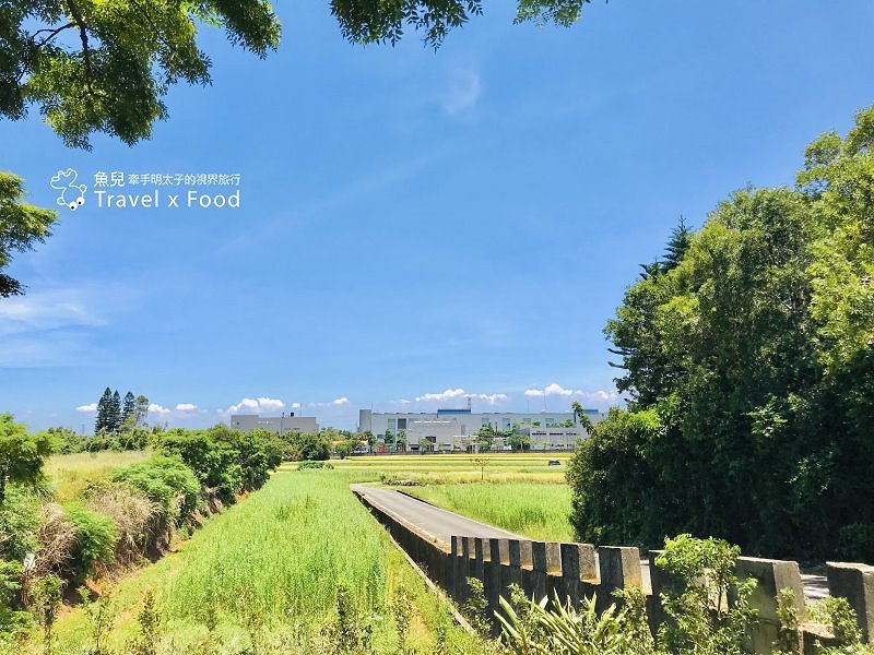 2020 桃園蓮花季,「金湖岸+康莊蓮園」之雙農場一日遊 @魚兒 x 牽手明太子的「視」界旅行