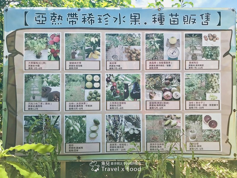 2020 桃園蓮花季,「金湖岸+康莊蓮園」之雙農場一日遊 @魚兒 x 牽手明太子的「視」界旅行