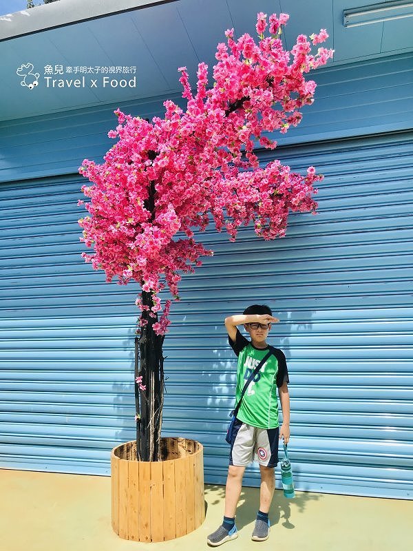 2020 桃園蓮花季,「金湖岸+康莊蓮園」之雙農場一日遊 @魚兒 x 牽手明太子的「視」界旅行