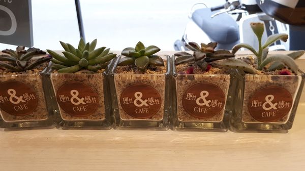 20170303_140939.jpg 20170303_140939.jpg