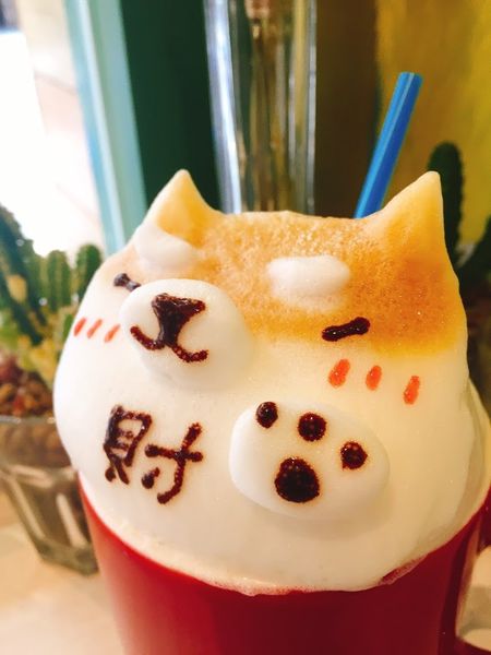 1488524611627.jpg 1488524611627.jpg