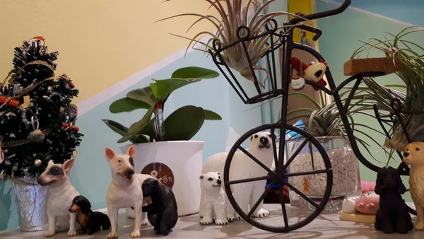 20170303_141323.jpg 20170303_141323.jpg