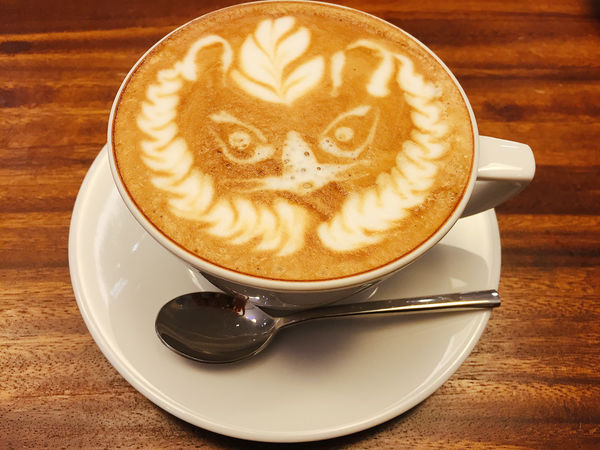 『台北東區複合式精品』HAMA BOUTIQUE 精緻小巧聖誕限定甜點 Dolcetti。用低調奢華的品味妝點自己,優雅地迎接美好的聖誕節吧。