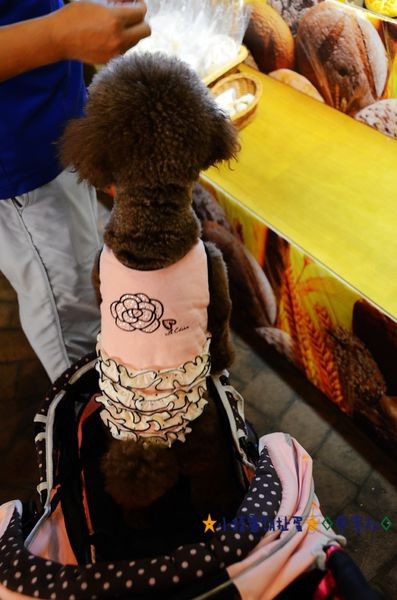 1四圍堡車站 (38).JPG