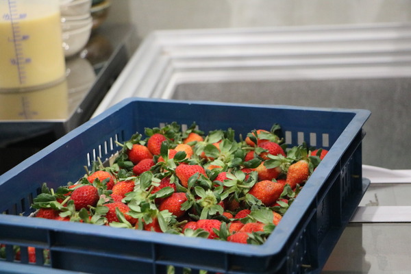 1585794a5d3e13.jpg 1585794a5d3e13.jpg