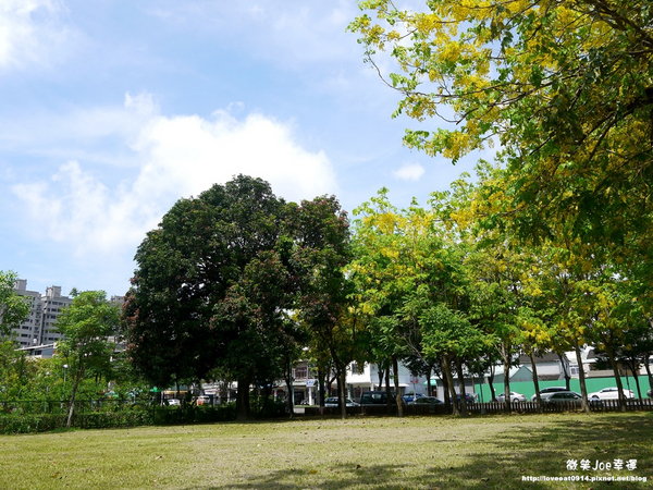 台中市崇倫公園：[台中南區]崇倫公園阿勃勒也是美得不像話。