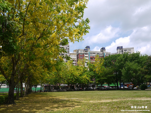 台中市崇倫公園：[台中南區]崇倫公園阿勃勒也是美得不像話。