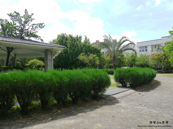 台中市崇倫公園：[台中南區]崇倫公園阿勃勒也是美得不像話。