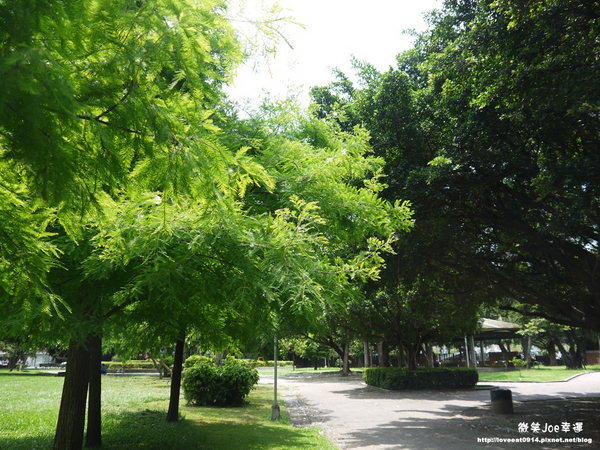 台中市崇倫公園：[台中南區]崇倫公園阿勃勒也是美得不像話。