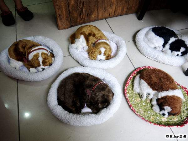 P1330800.JPG P1330800.JPG