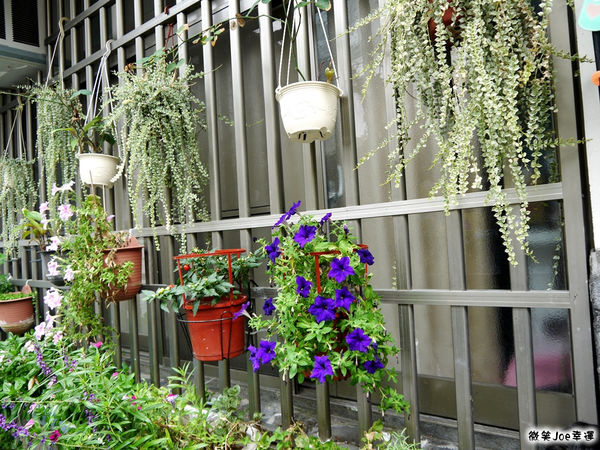 P1330762.JPG P1330762.JPG