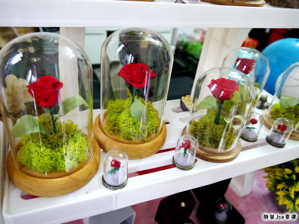 P1330806.JPG P1330806.JPG