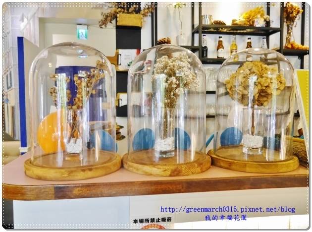 P9150440 (620x458).jpg P9150440 (620x458).jpg