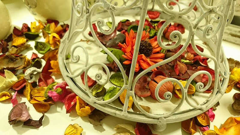 20170117 剝皮寮_170125_0055