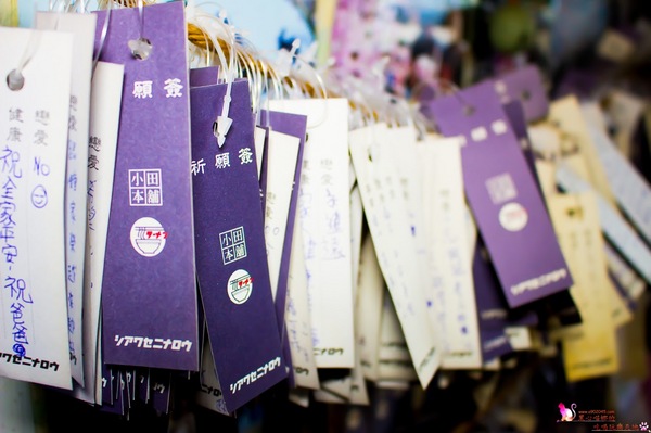 小田本舖：屏東南州︱小田本舖和風家庭料理 - 預約制食堂