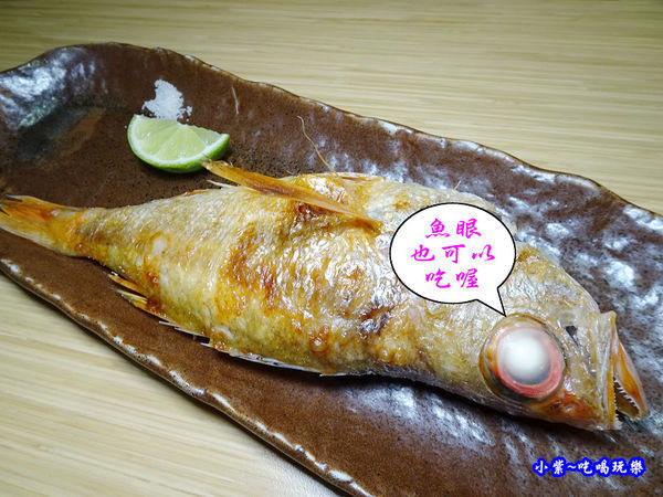 紅喉塩烤-御代櫻壽司割烹 (1).jpg