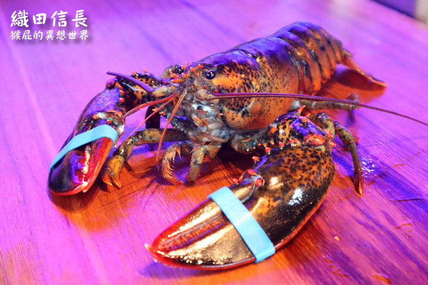 【桃園中壢美食】超浮誇波士頓龍蝦拉麵-織田信長拉麵!獨創鐵板炒拉麵限量供應賣完就沒了!Google評價高達4.7分!桃園中壢拉麵推薦! @猴屁的異想世界