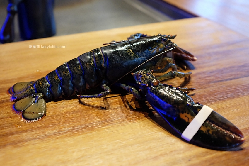 織田信長。中壢拉麵推薦 活體「巨無霸波士頓大龍蝦拉麵」直接端上桌,每日限量、晚來吃不到! @蹦啾♥謝蘿莉 La vie heureuse