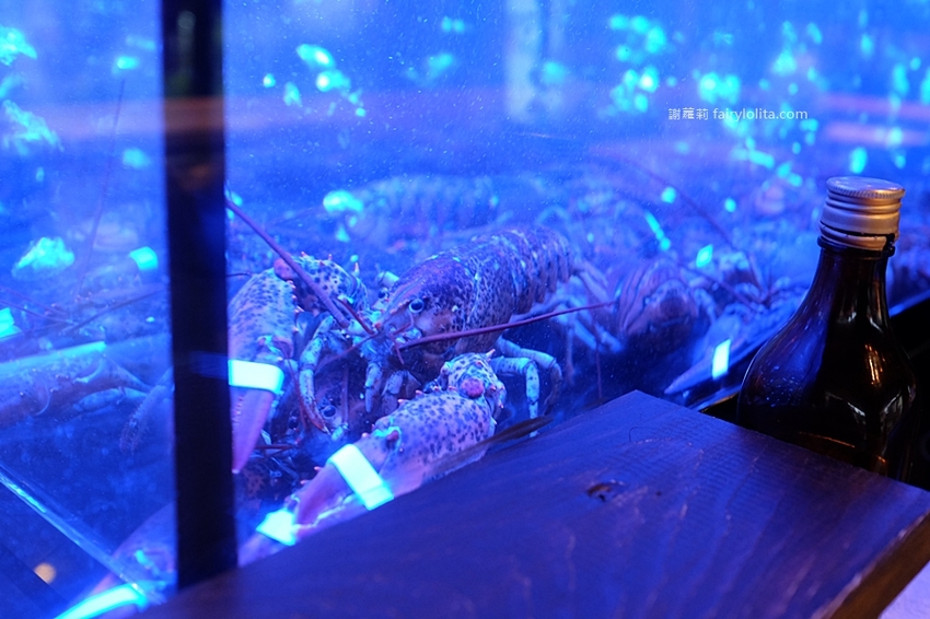 織田信長。中壢拉麵推薦 活體「巨無霸波士頓大龍蝦拉麵」直接端上桌,每日限量、晚來吃不到! @蹦啾♥謝蘿莉 La vie heureuse