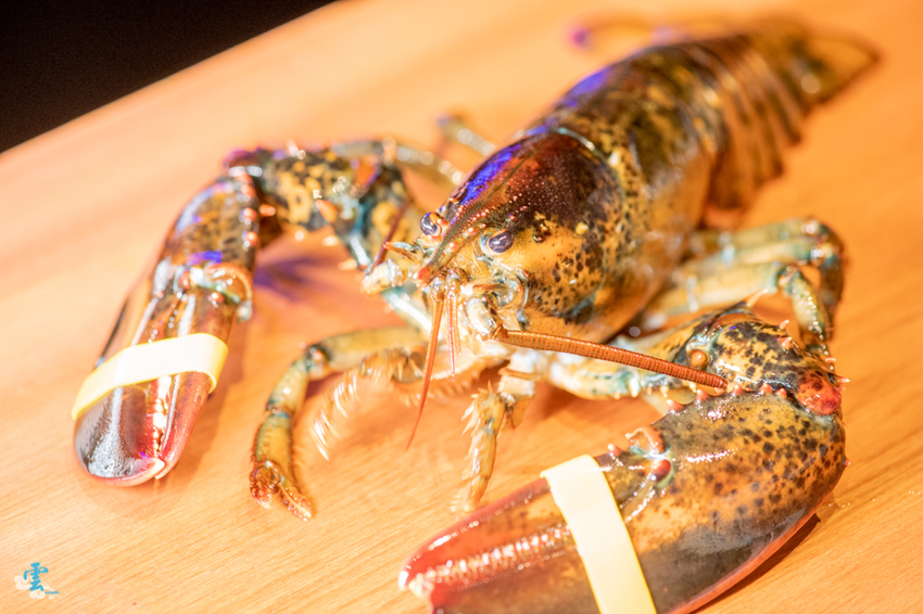 波士頓龍蝦配上照燒雞腿排,給你專屬的味蕾放縱