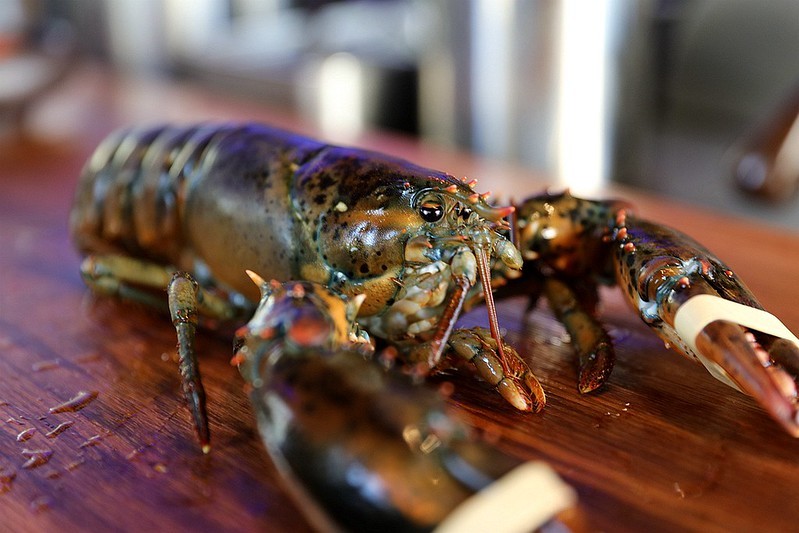 桃園中壢必吃隱藏美食織田信長拉麵現撈波士頓龍蝦拉麵047