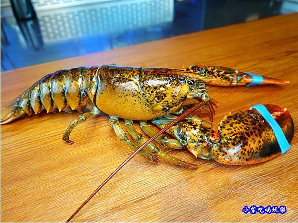 活波士頓龍蝦-織田信長 (2).jpg