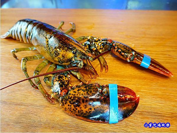 活波士頓龍蝦-織田信長 (1).jpg