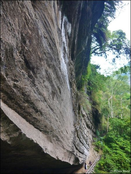 嘉義青年嶺步道、燕子崖、千年蝙蝠洞P1530168_調整大小1.JPG