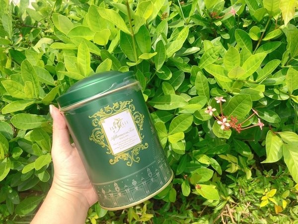 41052068_2232517553630475_1874545996826935296_n.jpg 41052068_2232517553630475_1874545996826935296_n.jpg