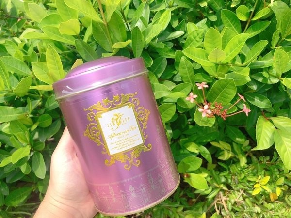 41020343_1849628198407844_6081768747352195072_n.jpg 41020343_1849628198407844_6081768747352195072_n.jpg