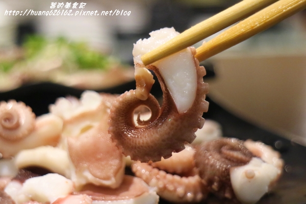 煽烏賊燒烤居酒屋：【新北板橋區】再訪驚豔味蕾的感動滋味『煽烏賊燒烤居酒屋』板橋居酒屋推薦/日式串燒/深夜食堂