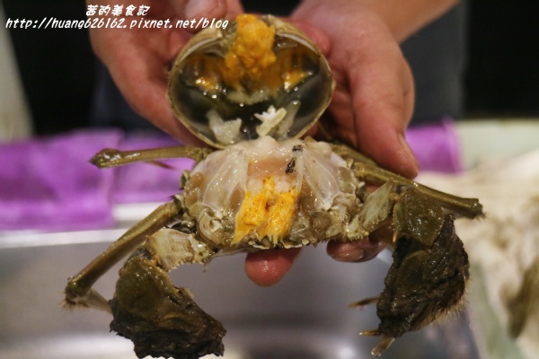 煽烏賊燒烤居酒屋：【新北板橋區】再訪驚豔味蕾的感動滋味『煽烏賊燒烤居酒屋』板橋居酒屋推薦/日式串燒/深夜食堂