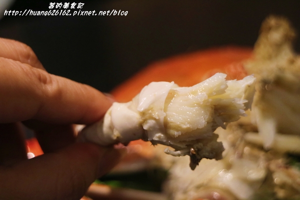 煽烏賊燒烤居酒屋：【新北板橋區】再訪驚豔味蕾的感動滋味『煽烏賊燒烤居酒屋』板橋居酒屋推薦/日式串燒/深夜食堂