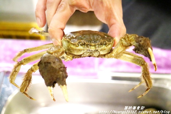 煽烏賊燒烤居酒屋：【新北板橋區】再訪驚豔味蕾的感動滋味『煽烏賊燒烤居酒屋』板橋居酒屋推薦/日式串燒/深夜食堂