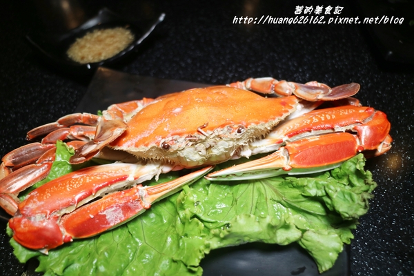 煽烏賊燒烤居酒屋：【新北板橋區】再訪驚豔味蕾的感動滋味『煽烏賊燒烤居酒屋』板橋居酒屋推薦/日式串燒/深夜食堂