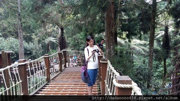 14064208_596157953888968_8022124113579011822_n 14064208_596157953888968_8022124113579011822_n